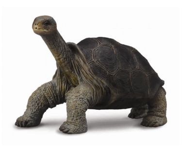 Mac Toys M1188619 - Želva obří