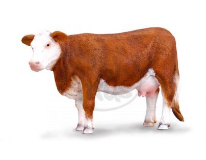 Collecta Kráva Hereford