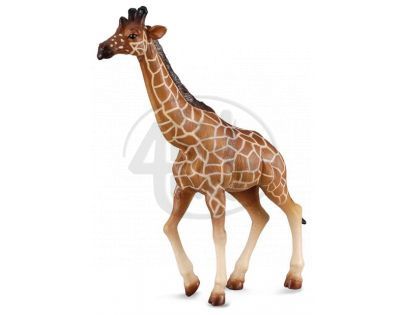 Collecta Žirafa mřížkovaná
