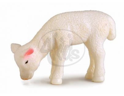 Collecta Jehně pasoucí