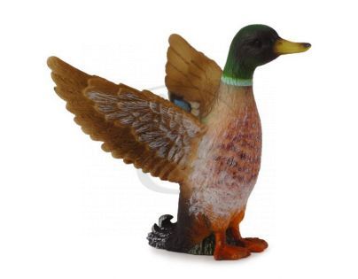 Collecta Kačer kachny divoké