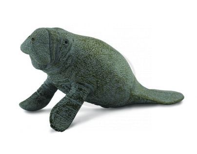 Mac Toys M1188457 - Kapustňák - mládě