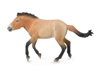 COLLECTA Kôň Przewalského
