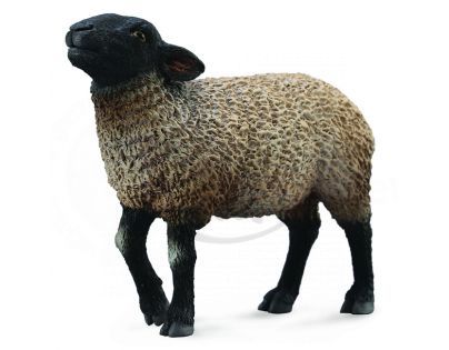 Collecta Ovce Suffolk