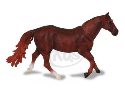 Collecta Quarter horse, ryzák
