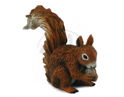Collecta Veverka Obecná