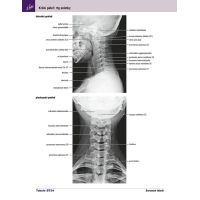 Cpress Netterov anatomický atlas človeka Preklad 8. vydanie 2