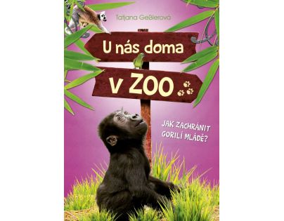U nás doma v ZOO Ako zachrániť gorilej mláďa?