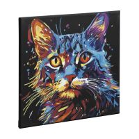 Craft Creative Maľovanie podľa čísel na čiernom plátne mačka 2
