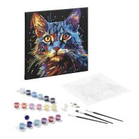 Craft Creative Maľovanie podľa čísel na čiernom plátne mačka 3