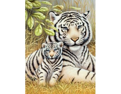 Creatoys Maľovanie 22 x 30 cm Bieli tigre