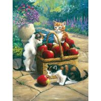 Creatoys Maľovanie 22 x 30 cm Mačky