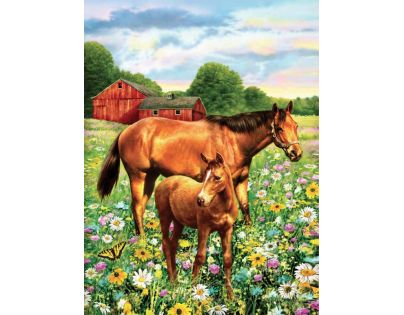Creatoys Maľovanie 22 x 30 cm Kone na pastvine