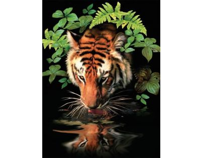 Creatoys Maľovanie 22 x 30 cm Tiger pri vode
