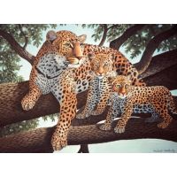 Creatoys Maľovanie veľké Royal Leopard s mláďatami