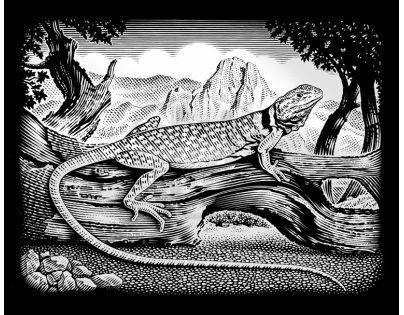 Creatoys Reeves Škrábací obrázek stříbrný 20 x 25 cm - Ještěrka
