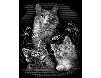 Creatoys Reeves Škrábací obrázek stříbrný 20 x 25 cm - Kočky