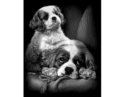 Creatoys Reeves Škrábací obrázek stříbrný 20 x 25 cm - Psi