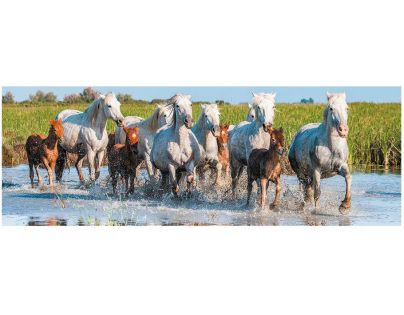 Dino Puzzle panoramatické Camargští kone 150 dielikov