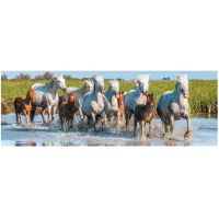 Dino Puzzle panoramatické Camargští kone 150 dielikov 2