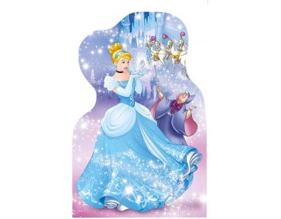 DINO WD Hravá princezná 4x54 dílků