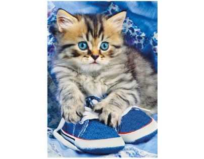 DINO Kotě v modré botě XL 300 dílků