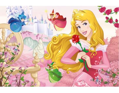 Dino Walt Disney Princezny Portréty 2 x 66 dílků