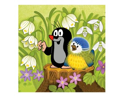 DINO 335035  - Krteček a ptáček  3x55D