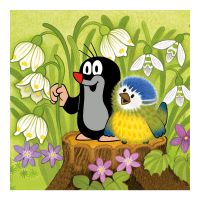 DINO 335035  - Krteček a ptáček  3x55D 3