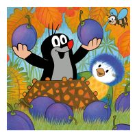 DINO 335035  - Krteček a ptáček  3x55D 4