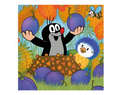 DINO 335035  - Krteček a ptáček  3x55D