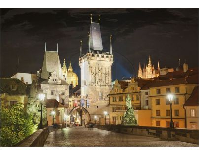 Dino Puzzle Praha v noci 500 dílků