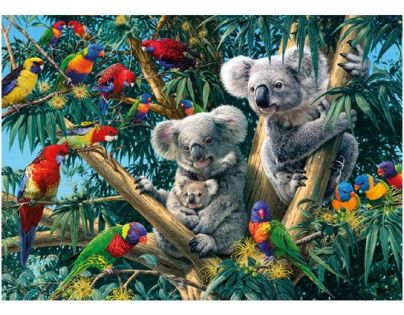 Dino Puzzle Secret Collection Koaly 1000 dílků