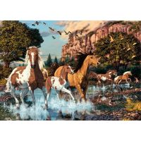 Dino SECRET COLLECTION: Kone 1000 dielov 2