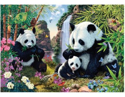 Dino SECRET COLLECTION: Pandy 1000 dielov