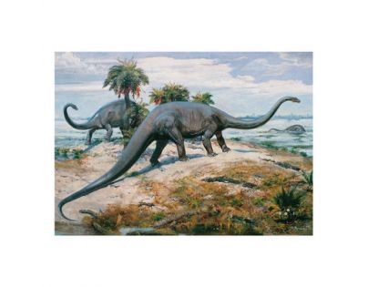 Dino Puzzle Zdeněk Burian Diplodocus 1000 dielikov