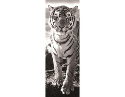 Dino Puzzle panoramatic Tiger 1000 dielikov