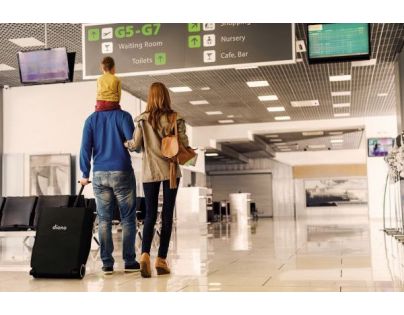 Diono Kočík Traverze Travel Grey Linear - Poškodený obal