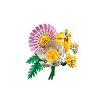 LEGO® Botanicals 10347 Malá slnečná kytica 4