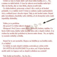 Edice ČT Kokoškovi na cestách CZ verzia 4