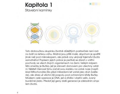 Chytrá kniha do kapsy Biologie