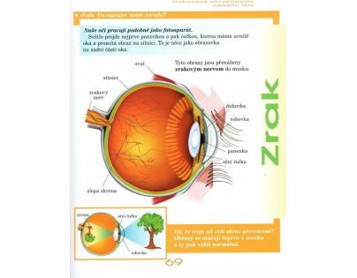 Sun Encyklopedie Lidského těla CZ verzia