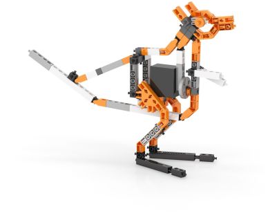Engino Creative Builder 50 modelov s motorčekom