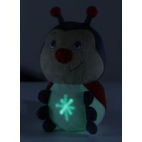 EP Line Lumini II - Beruška 4