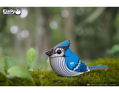 EUGY Sojka modrá 3D kartónová skladačka