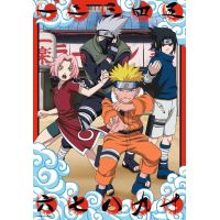 Fandom kolekcia: Naruto 300 dielikov 2