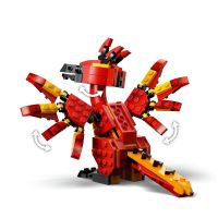 LEGO® Harry Potter™ 76448 Fawkes: Dumbledorov fénix 4