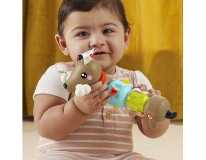 Fisher Price Hrkajúci a klapajúci jazvečík