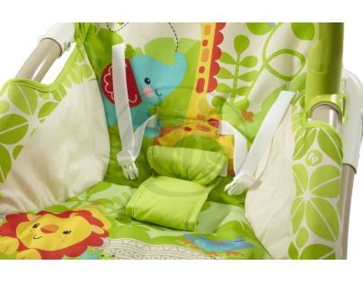 Fisher Price   Houpací sedátko od miminka po batole BCD28