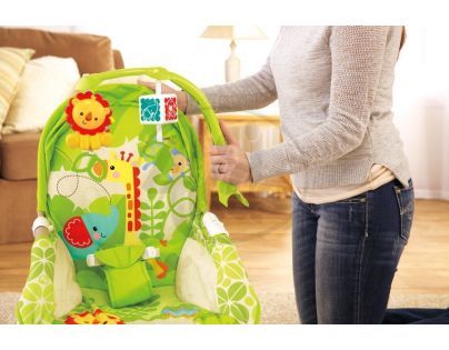 Fisher Price   Houpací sedátko od miminka po batole BCD28